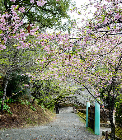 20250304AburatsuJapan_0329