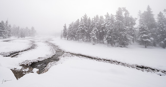Yellowstone_20230117_0673