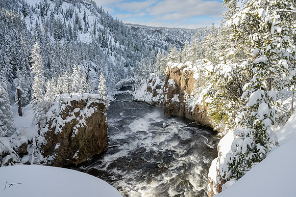 Yellowstone_20230117_1450-Edit