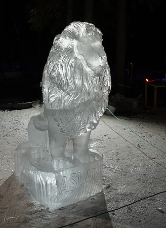 Fairbanks20230305_20230305_0390