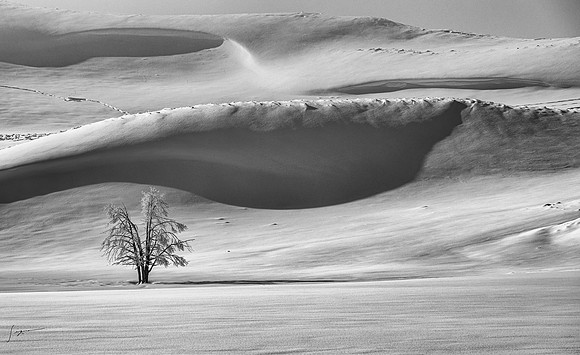 Yellowstone20230118_20230118_0709-Edit