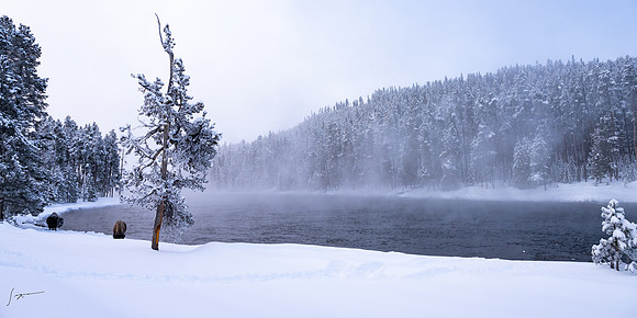 Yellowstone_20230117_0044