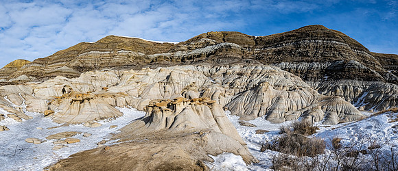 SnowyOwlsAlberta_20230208_0567-Pano