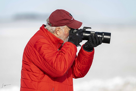 SnowyOwlsAlberta_20230207_1354