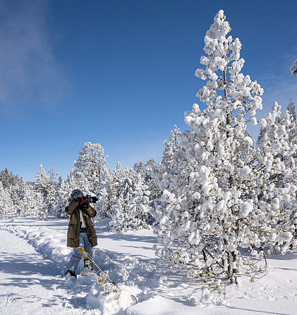 Yellowstone_20230117_1164