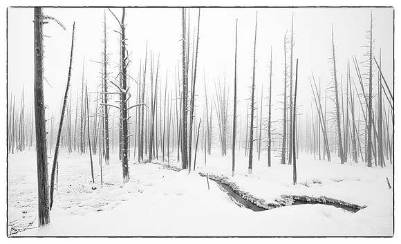 Yellowstone_20230117_0428-Edit-Edit-2-9