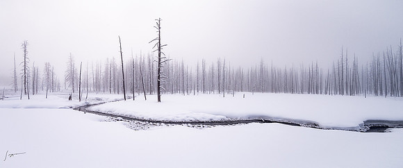 Yellowstone_20230117_0369-Edit