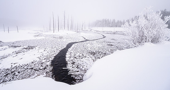 Yellowstone_20230117_0272-Edit