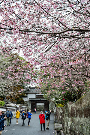 20250304AburatsuJapan_0084-Edit