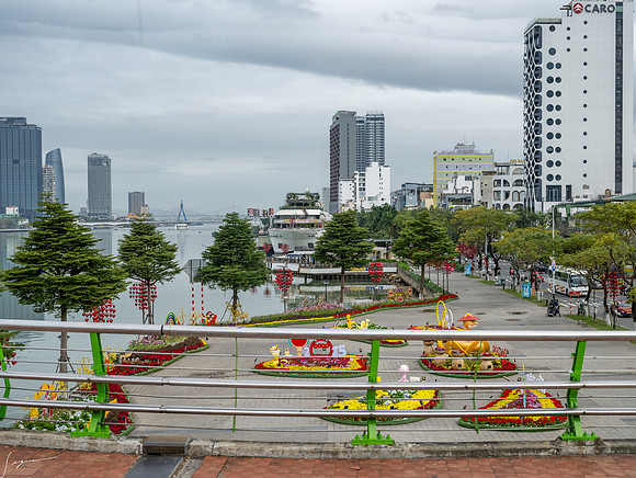 20250211DaNangVietnam_0090