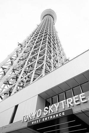 20240920-21Yokahama_1480-Edit