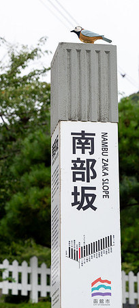 20240918Hakodate_1918