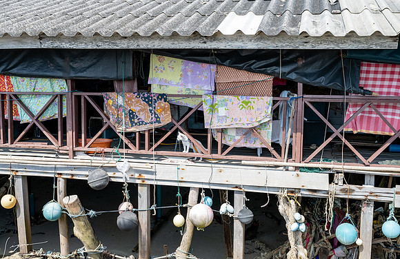 20250203KohSamuiThailand_0237
