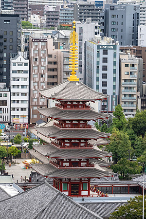 20240920-21Yokahama_0445