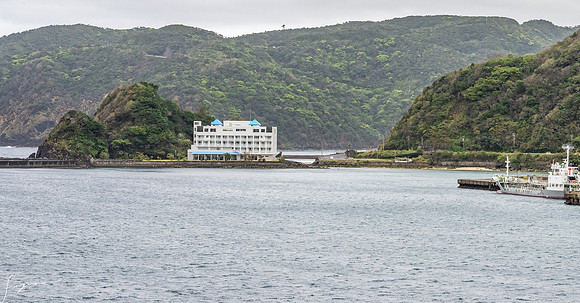 20250305AmamiOkinawaJapan_0007