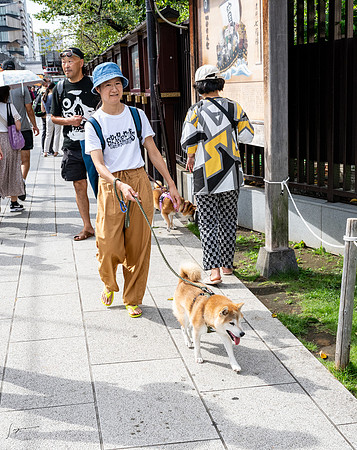20240920-21Yokahama_0983