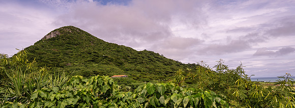 20241004Ishigaki_0049