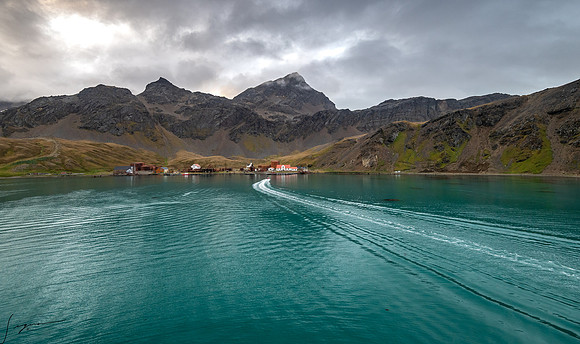 SouthGeorgiaGrytviken_0011