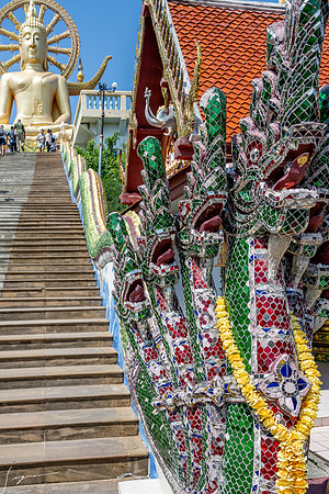 20250203KohSamuiThailand_0281