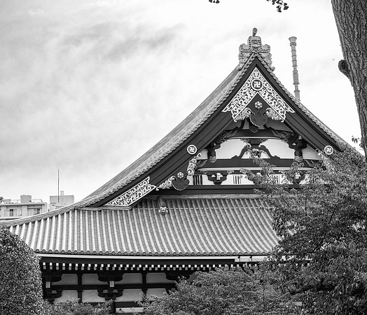 20240920-21Yokahama_0643-Edit