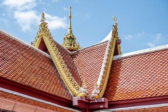 20250203KohSamuiThailand_0327