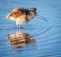 Morro Bay Photos