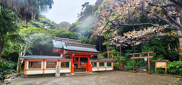 20250304AburatsuJapan_0801