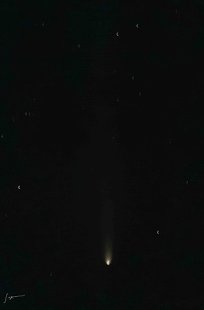 20241018Hilo_0428_DxO