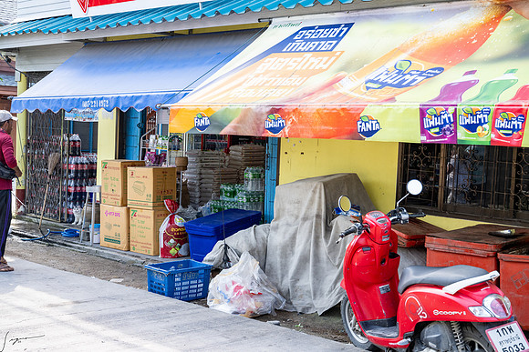 20250203KohSamuiThailand_0195