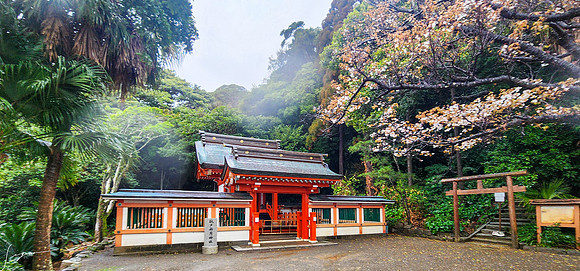 20250304AburatsuJapan_0806