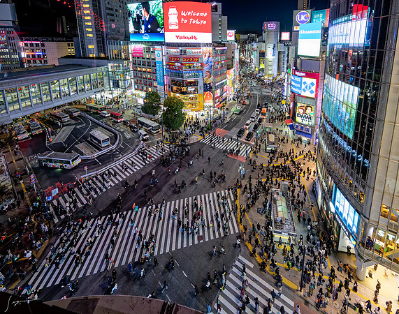 20250317Tokyo_0266_DxO