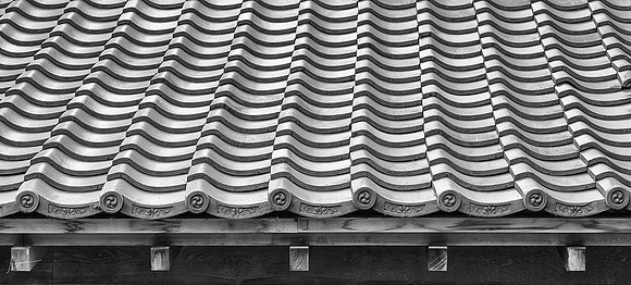 20240918Hakodate_1660-Edit-Edit