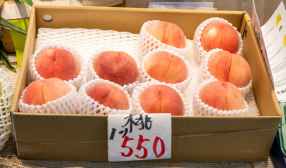 20240918Hakodate_1821