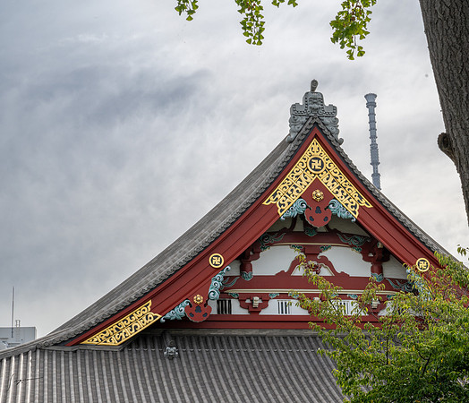 20240920-21Yokahama_0640