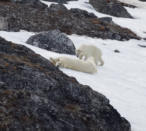 Svalbard20230627_0097