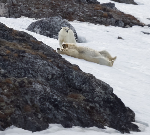 Svalbard20230627_0106