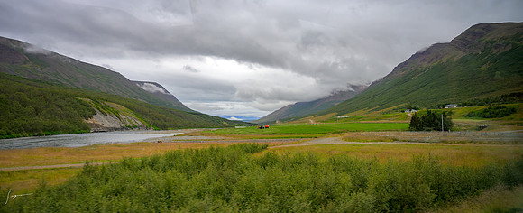 IcelandCruise20230809_0374