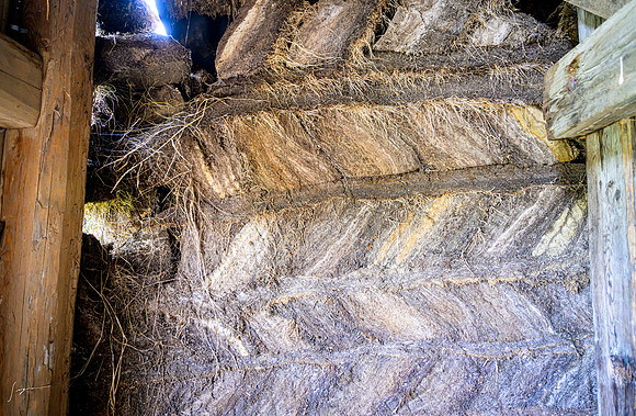 IcelandCruise20230809_0519
