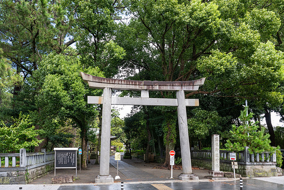 20240922Shimizu_0043