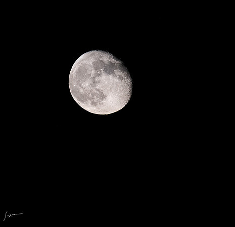 20240920-21Yokahama_0137-Edit