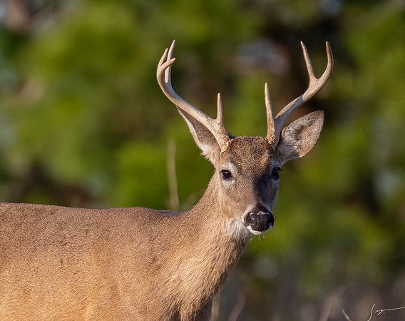 _DSC1001-Edit