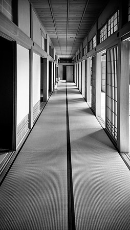 20240918Hakodate_1640-Edit