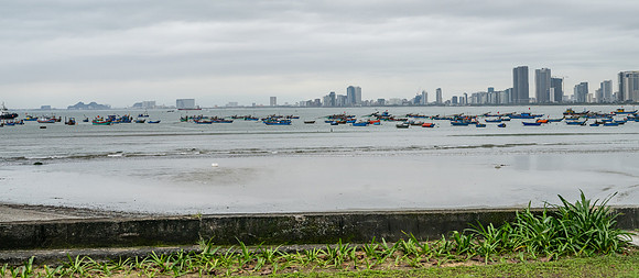 20250211DaNangVietnam_1213