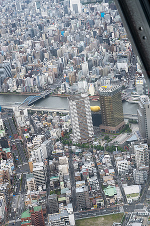 20240920-21Yokahama_1629