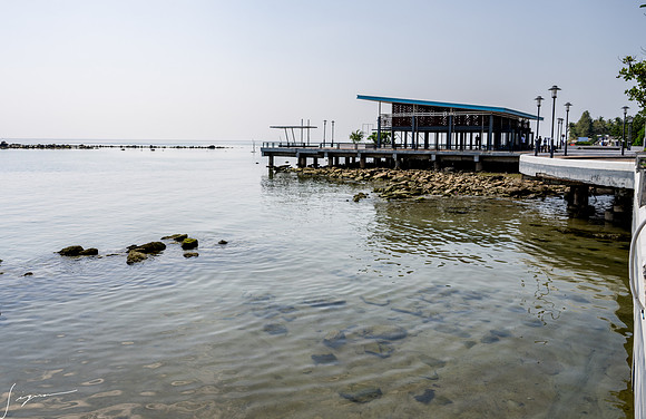 20250203KohSamuiThailand_0233