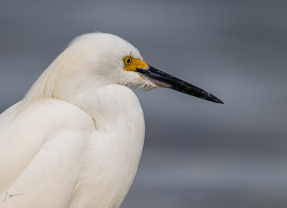 FtDesoto20240110_0243-Edit