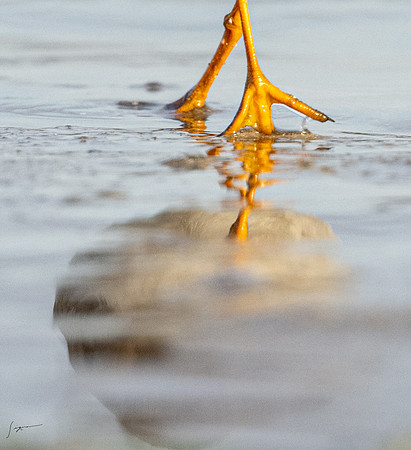 FtDesoto20240110_1308