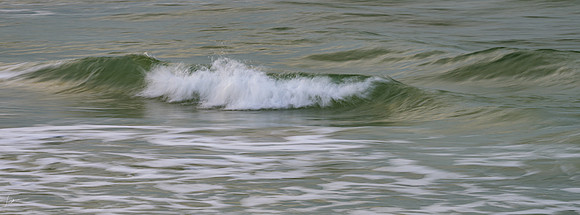 FtDesoto20240111_0142