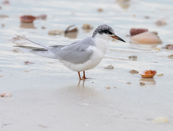 FtDesoto20240111_1077-Edit