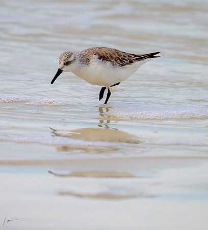 FtDesoto20240111_1334-Edit